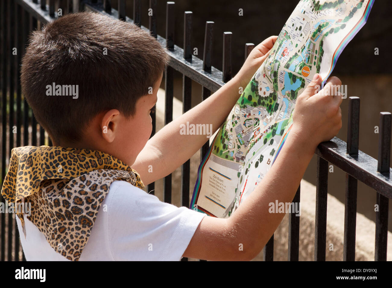 little boy examining map of path at San Antonio Zoo Stock Photo