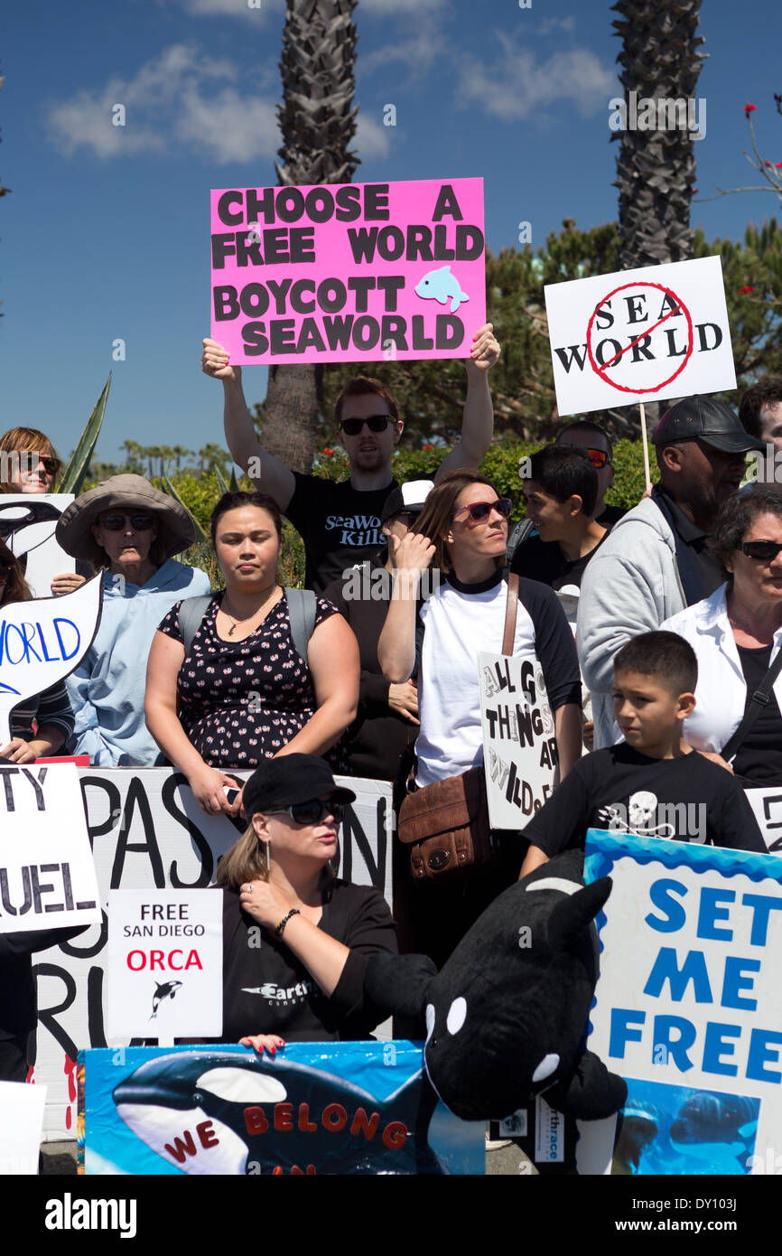 Seaworld Orca Protest High Resolution Stock Photography and Images - Alamy