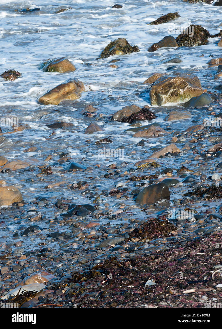 Bathing With Rocks Bathing in sunshine hi-res stock photography and images - Alamy