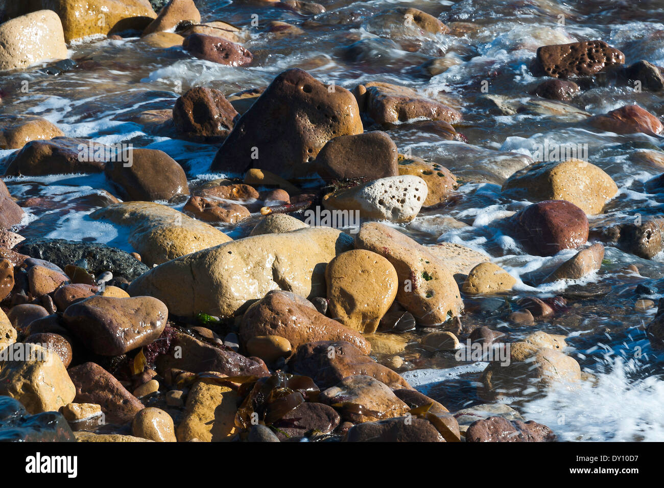 Bathing With Rocks Waves Trickle Over Rocks Bathing in Sunshine on the North East Coast ...