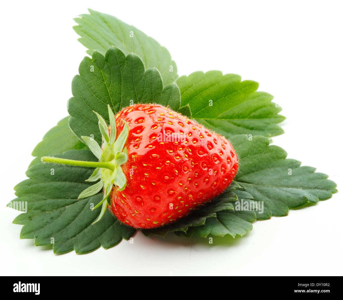One strawberry with leaves isolated on white background Stock Photo - Alamy
