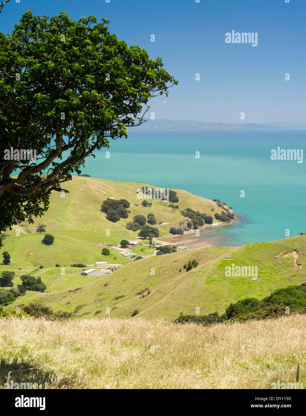 gay new thames zealand find gay men in ks