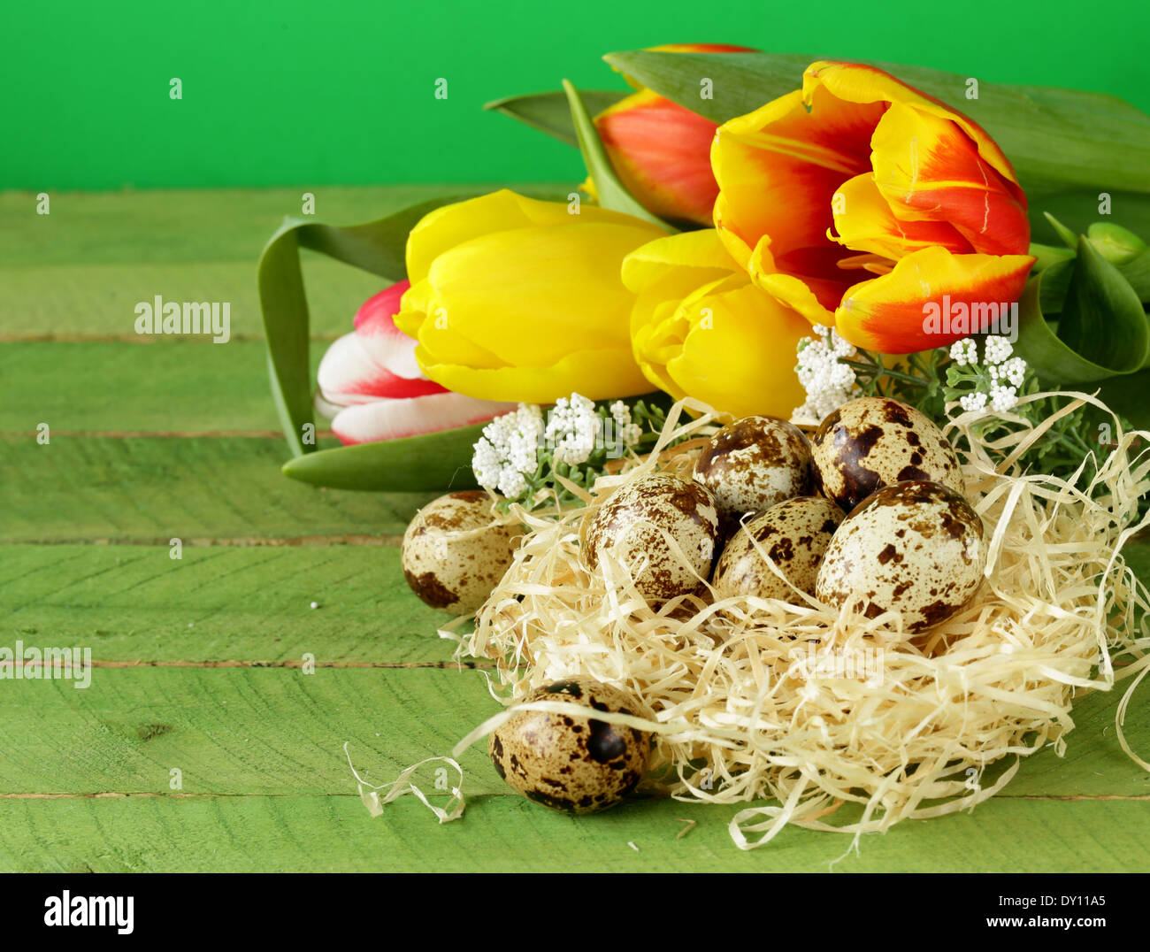 Easter still life with spring flowers tulips and quail eggs on a wooden ...