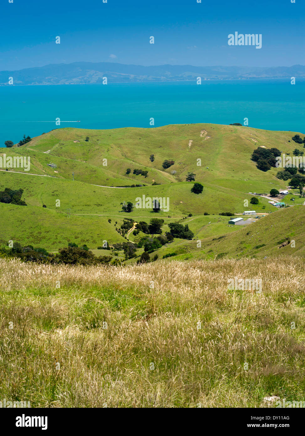 Highangle view of the Firth of Thames, from the Manaia Road on the