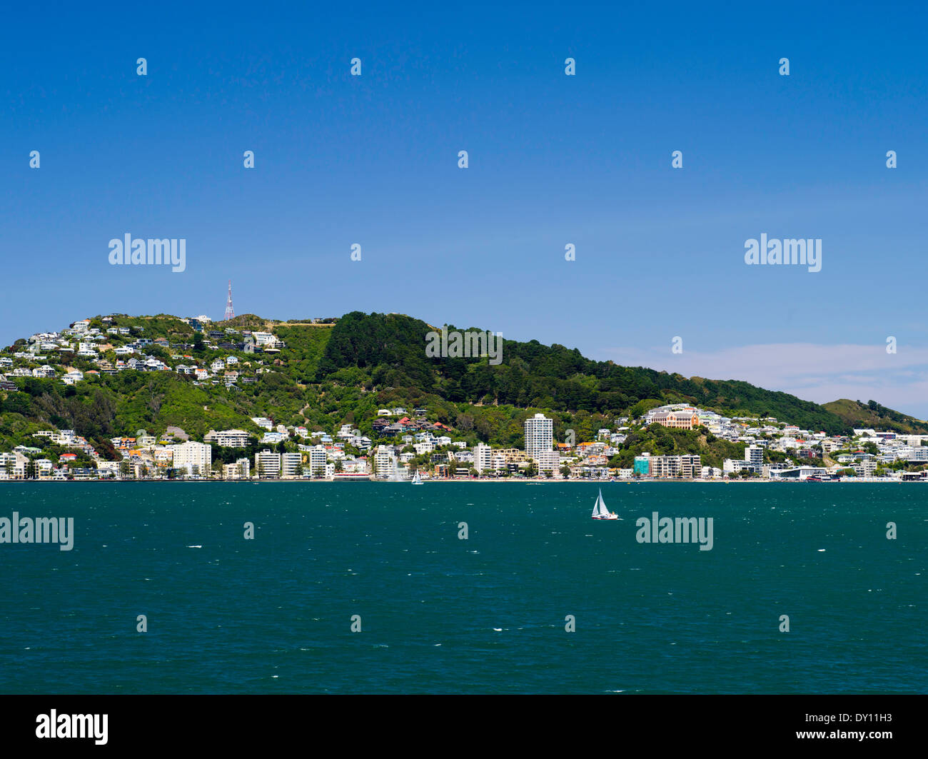 View across Wellington Harbor, taken from a ship in the harbor, with Mount Victoria in the background, Wellington, New Zealand. Stock Photo