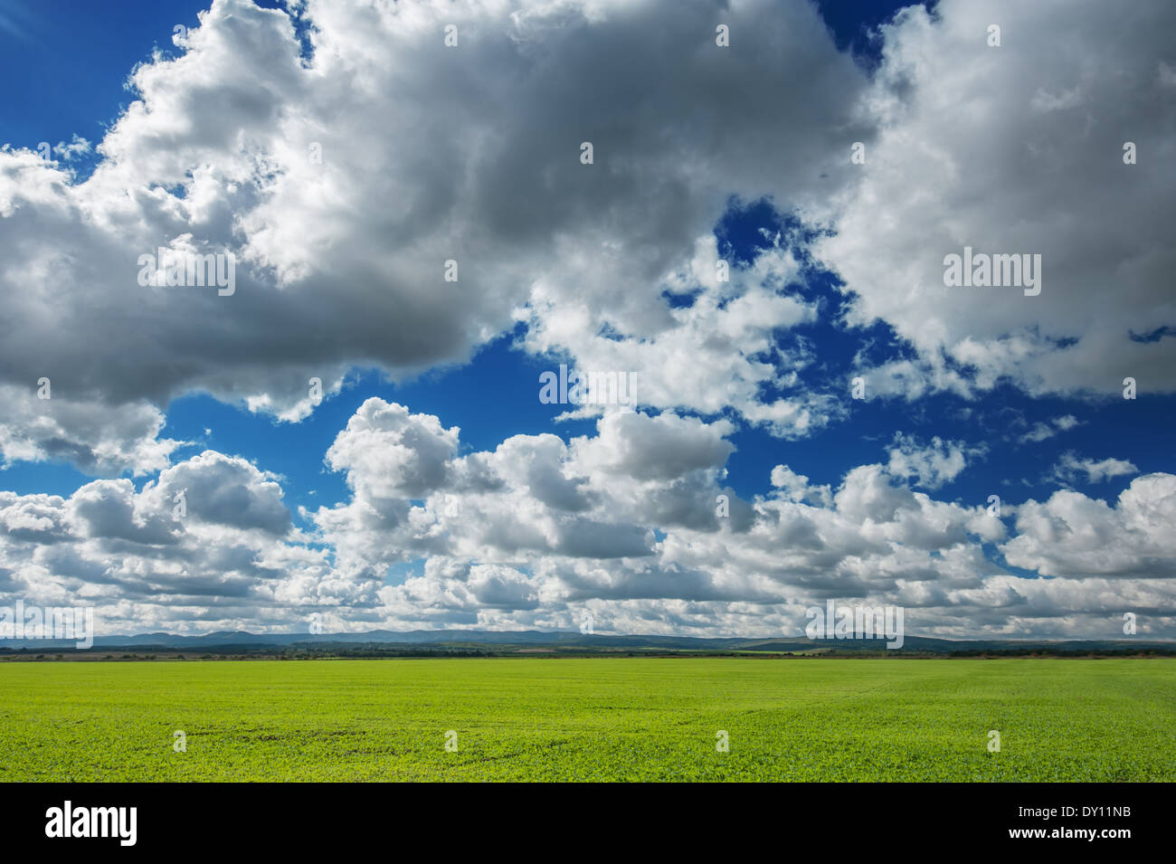 spring field and cloudy sky Stock Photo