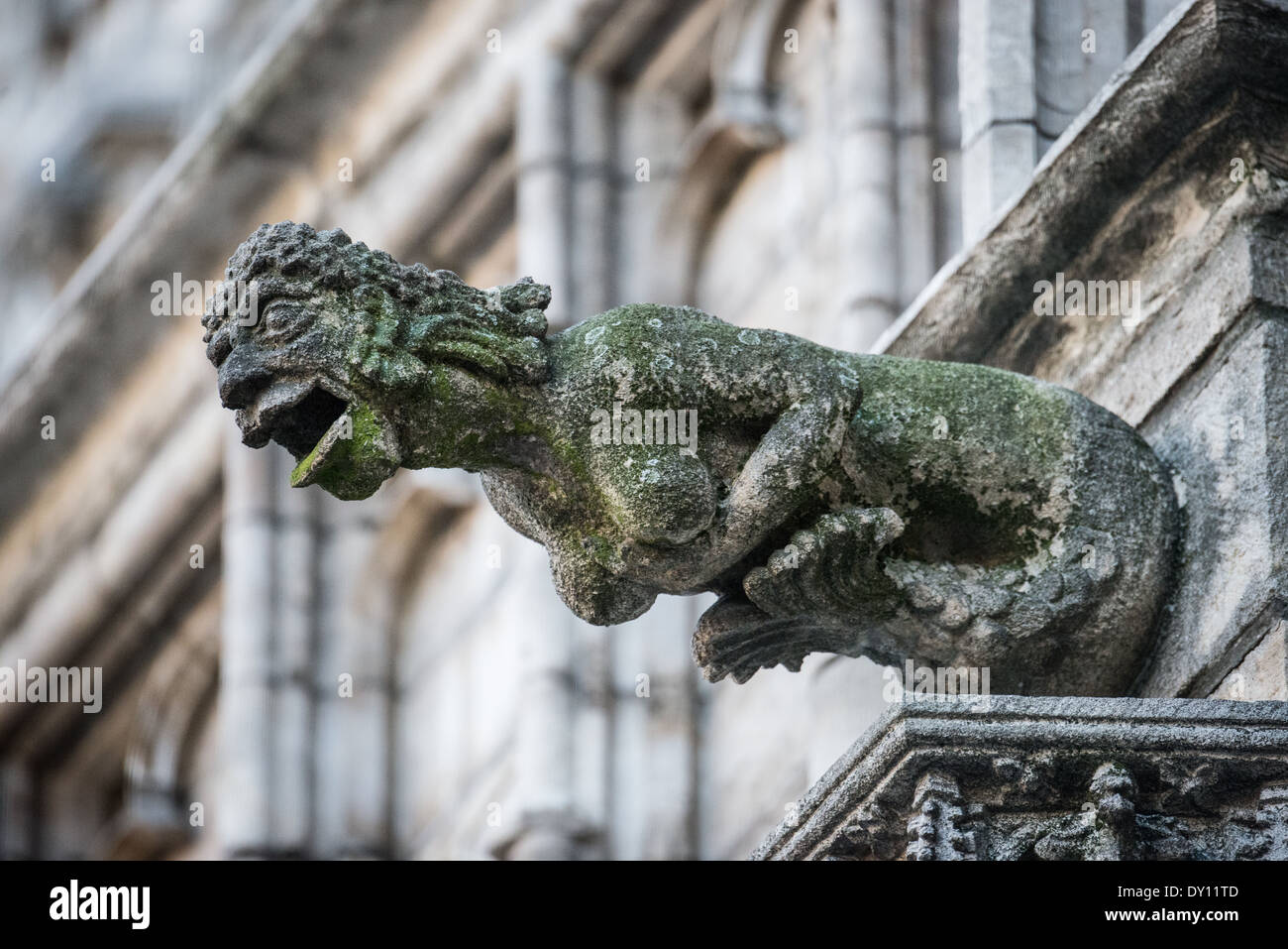 A stong gargoyle on the exterior of the Brussels Town Hall (Hotel de Ville) on Grand Place (La Grand-Place), a UNESCO World Heritage Site in central Brussels, Belgium. Lined with ornate, historic buildings, the cobblestone square is the primary tourist attraction in Brussels. Stock Photo