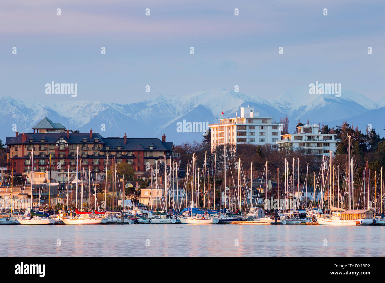Oak Bay marina and Olympic mountains in background at dawnVictoria