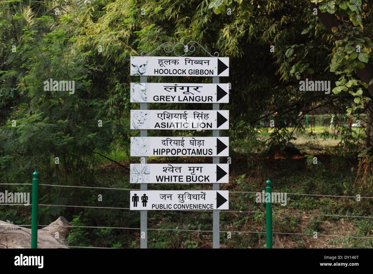 Markers to exhibits and different points inside Delhi Zoo, with lion, gibbon, langur, hippopotamus, white buck and other animals Stock Photo