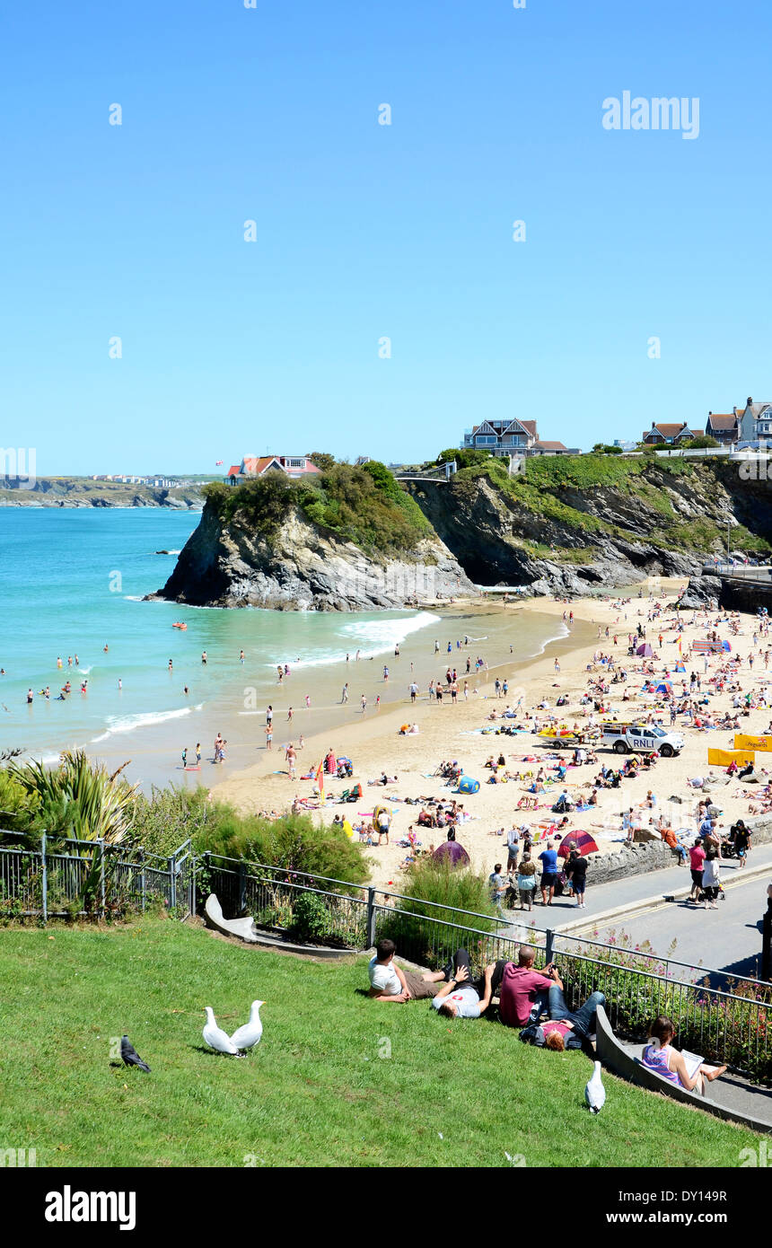 a summers day at towan beach in newquay, cornwall, uk Stock Photo Alamy