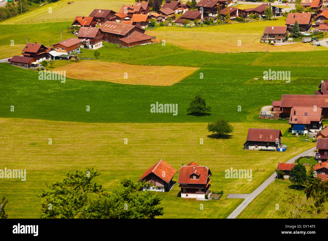 Houses with red roofs in Grindelwald, Switzerland Stock Photo Alamy