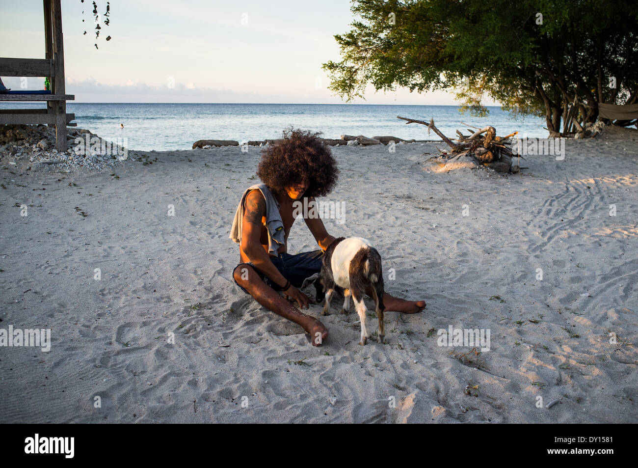 Reggae man with a goat on a beach on the Gili island, Indonesia, Asia Stock Photo
