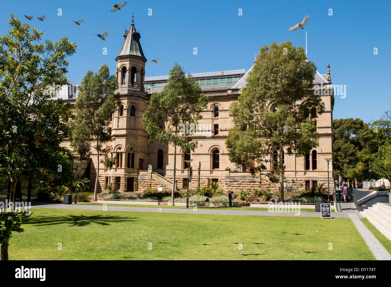 The Museum of South Australia in Adelaide Stock Photo Alamy