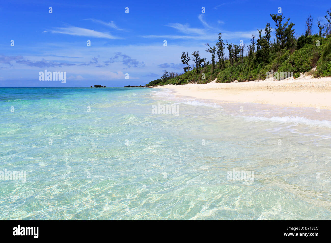beautiful beach and blue sky Stock Photo - Alamy