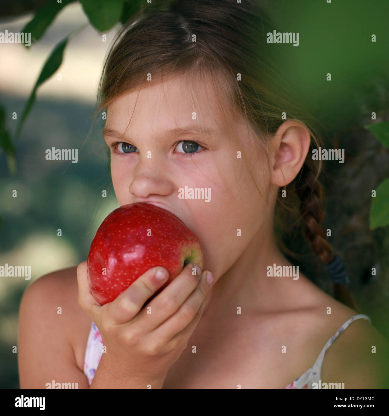 Little girl biting into an apple under an apple tree. Shallow depth of field. Stock Photo