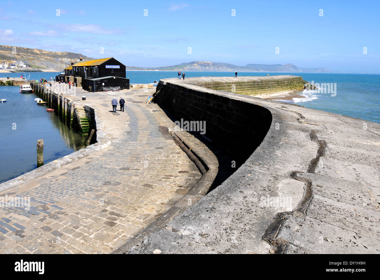 Lyme Regis, The Cobb, Lyme Regis, Dorset, England, UK Stock Photo Alamy
