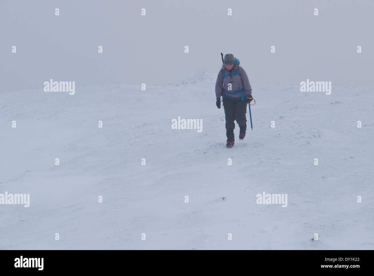 A female hill walker in near white out conditions on the mountain of Carnedd Llewelyn, Snowdonia Stock Photo