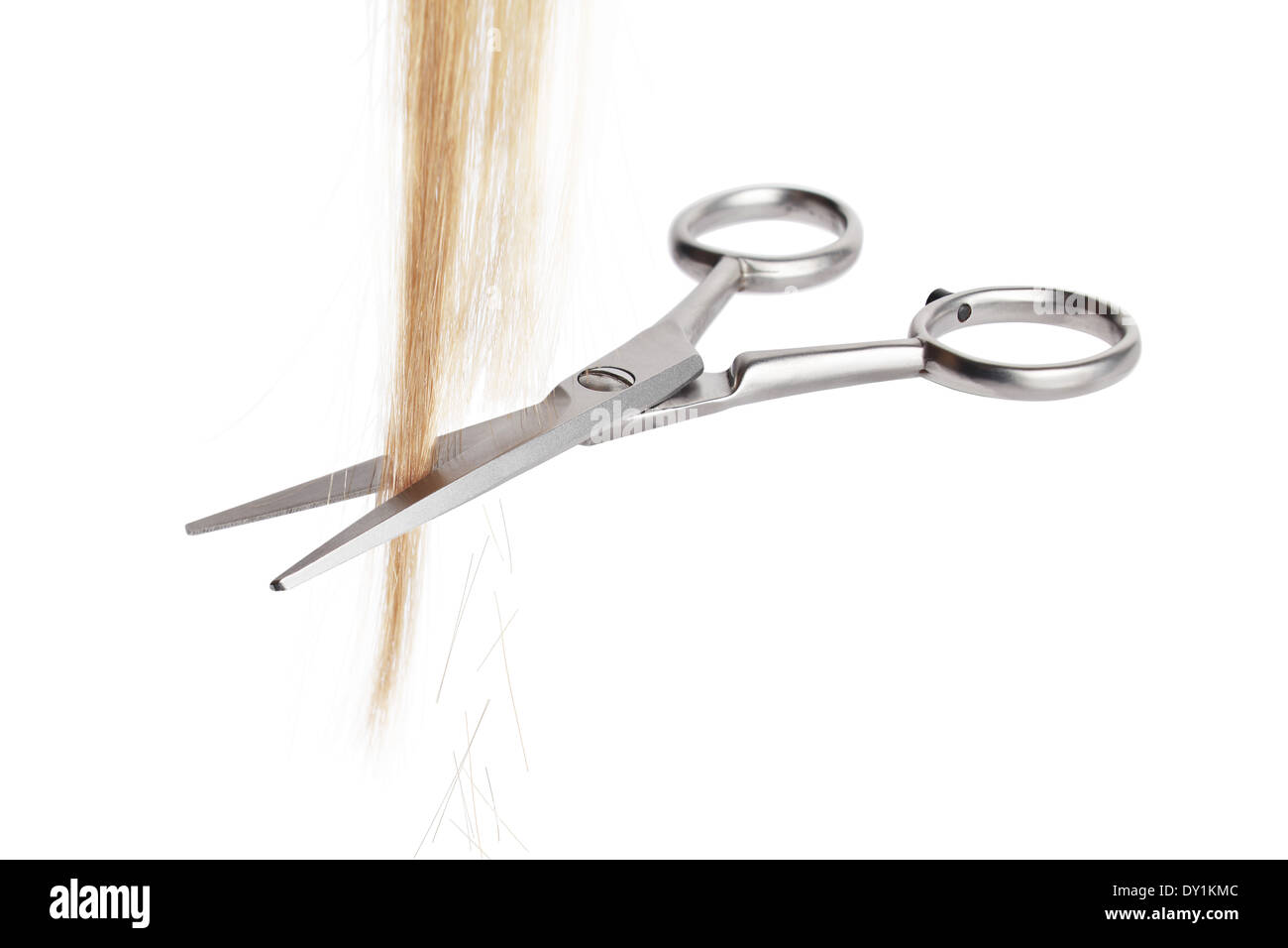 hairdresser scissors cutting hair Stock Photo