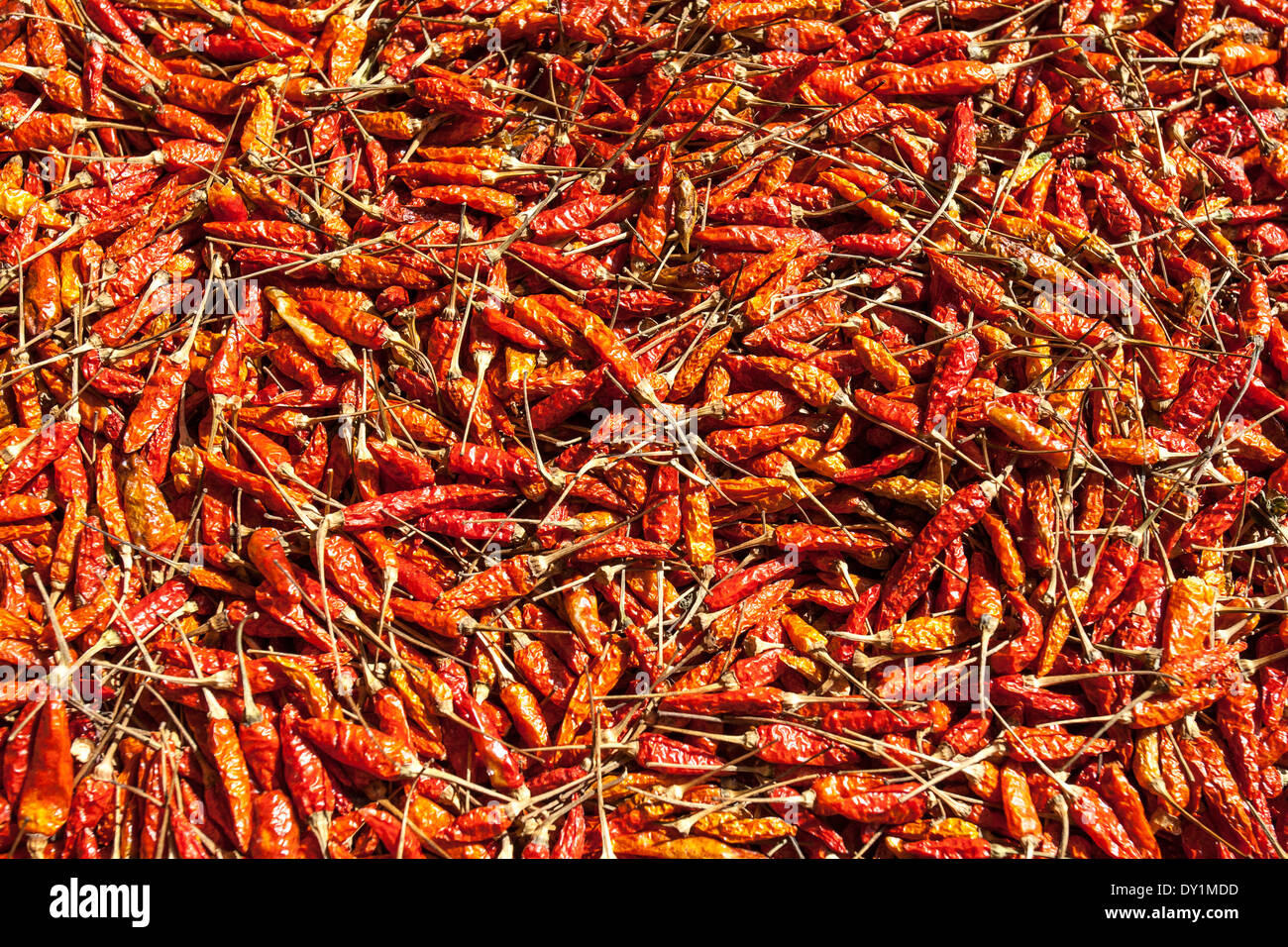 in the sun dried peppers for a long time Stock Photo