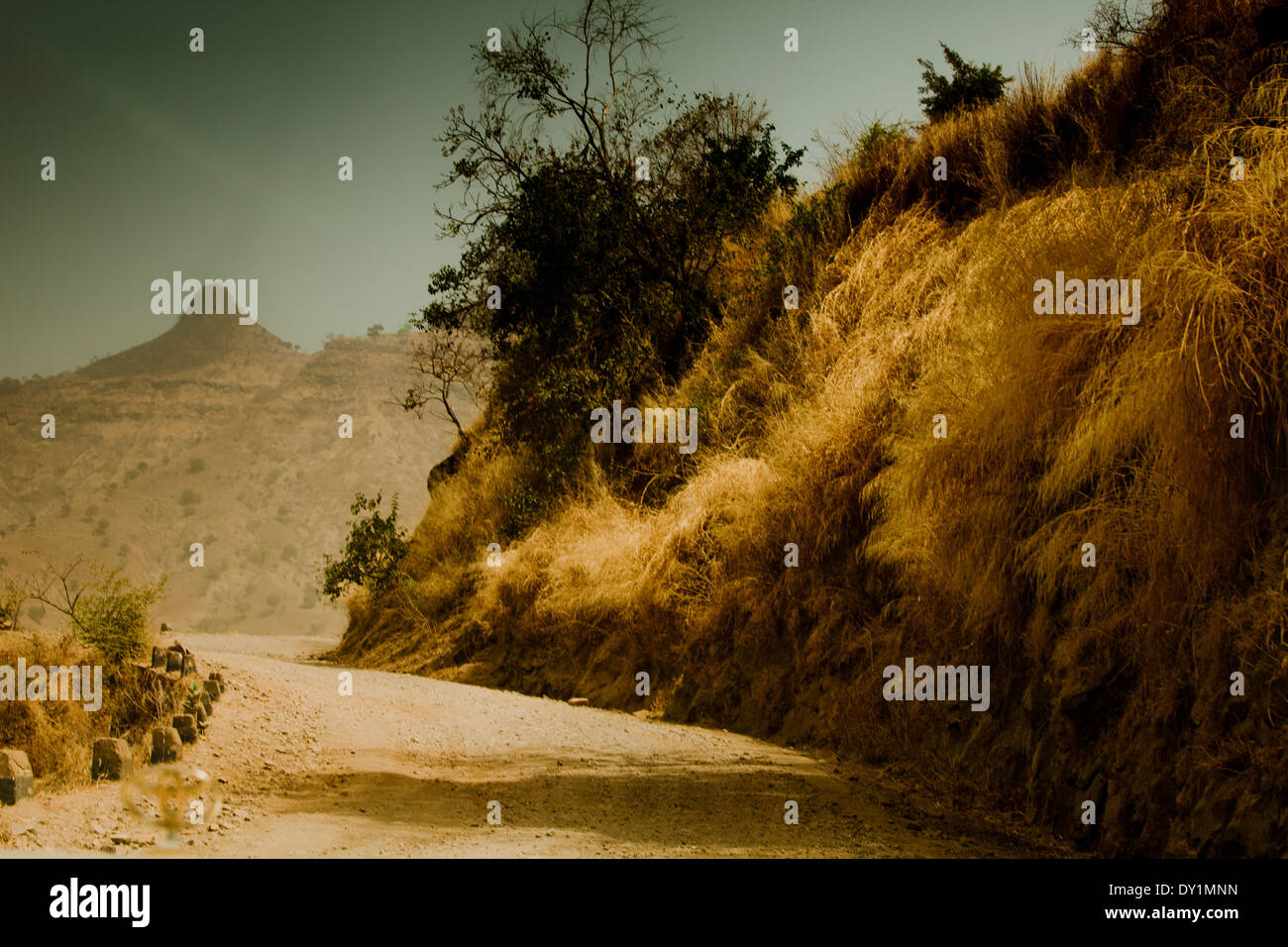 African vegetation hi-res stock photography and images - Alamy