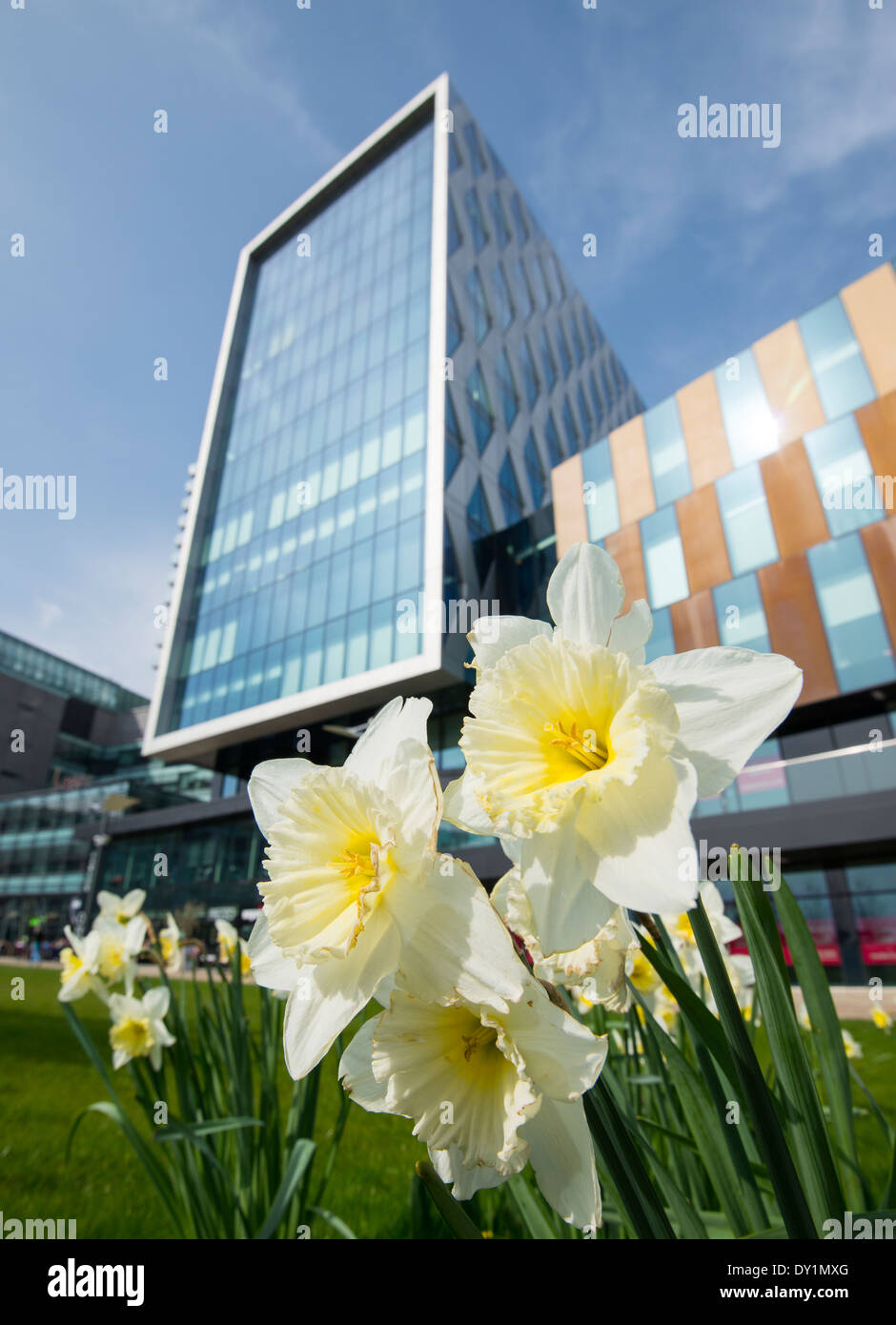 Manchester spring flowers hi-res stock photography and images - Alamy