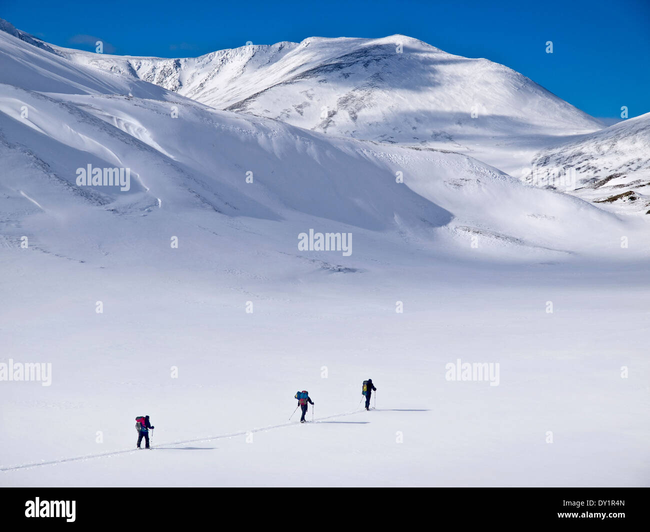 Line of three skiers Ski touring in the Rondane, Norway Stock Photo