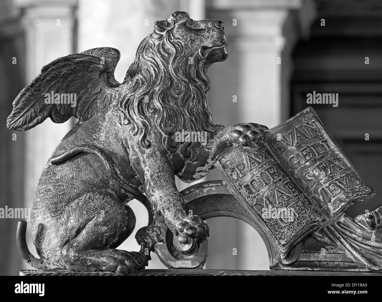 Venice - Lion bronze statue as symbol of st. Mark the Evangelist - patron of the town from gate of bell tower. Stock Photo
