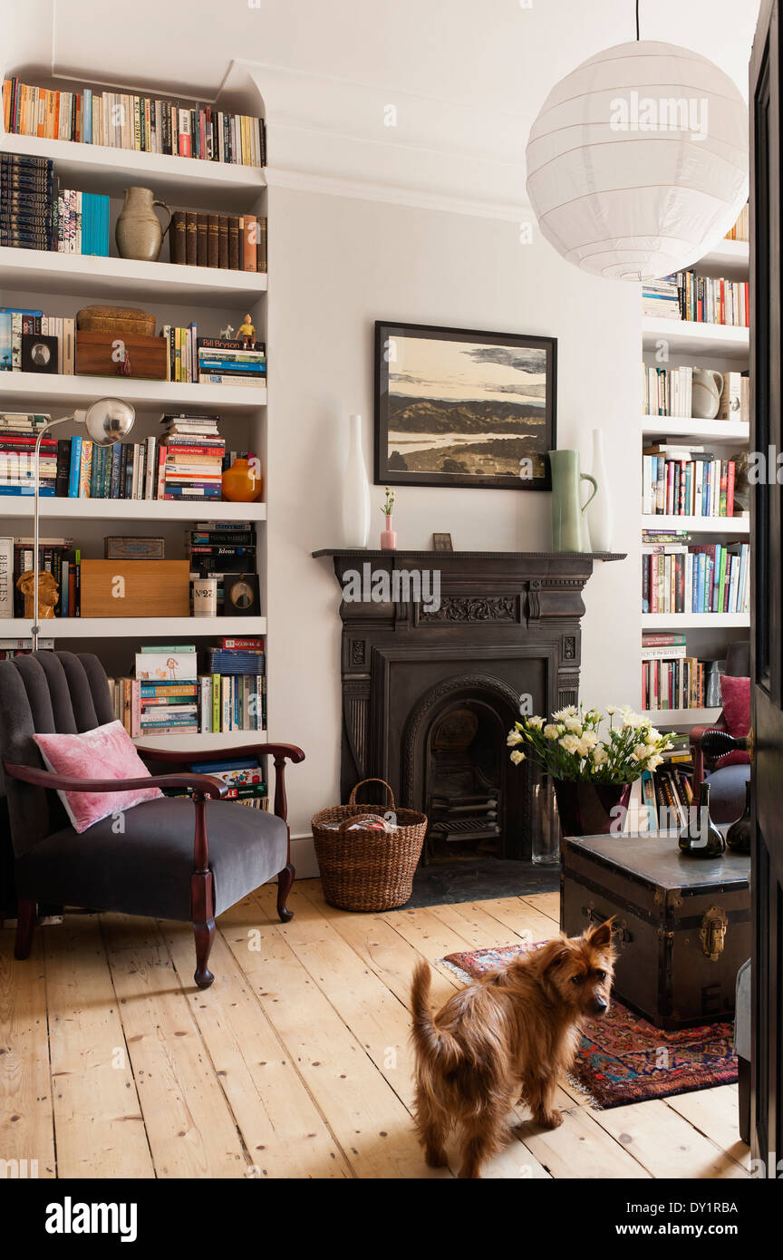 White-painted bookshelves in sitting room with traditional fireplace, old school trunk and grey armchair Stock Photo