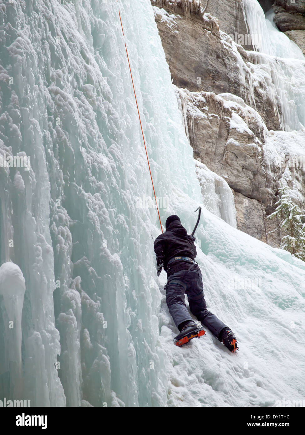 An ice climber scales "The Queen", a famous ice climb in Maligne Canyon