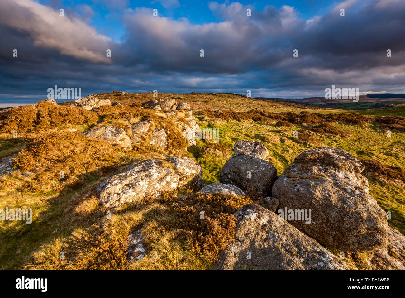 Meldon Hill, Dartmoor National Park, Chagford, West Devon, England, UK ...