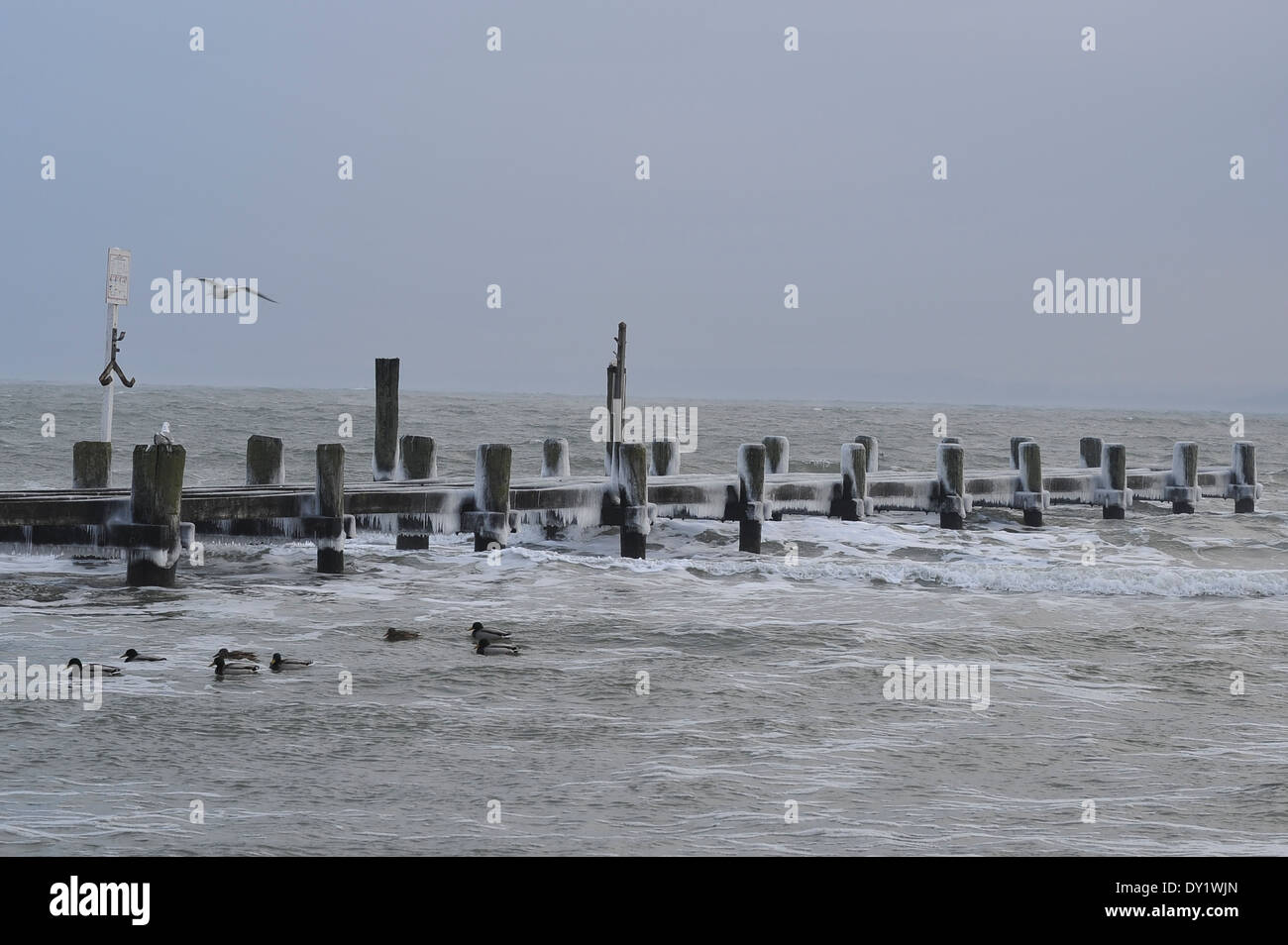 Impression at the Baltic Sea, Szene an der Ostsee, Stock Photo