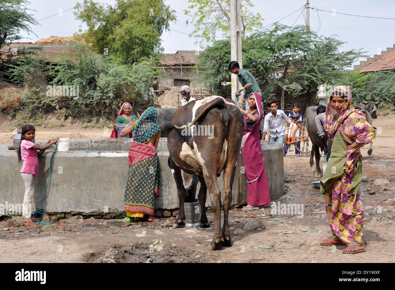 India, Gujarat, Lothal, daily life Stock Photo