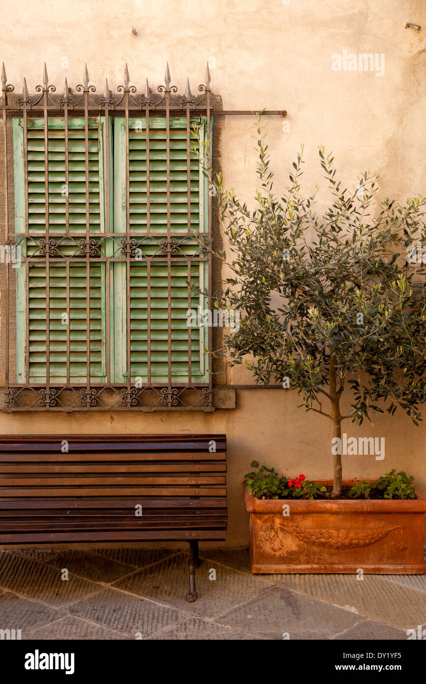 Windows - Reading Plans – Olive Tree