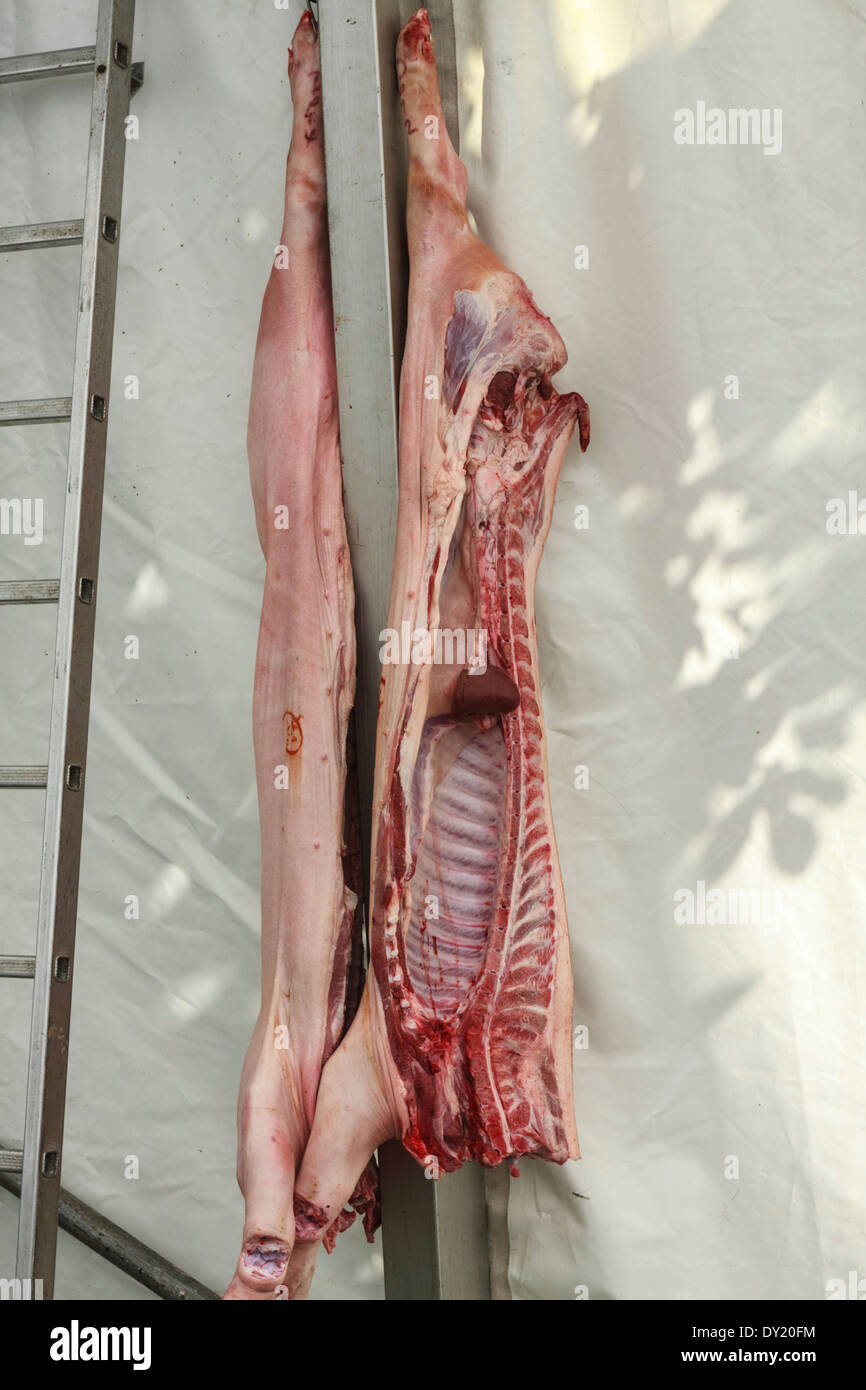Butchered pig hanging up Stock Photo