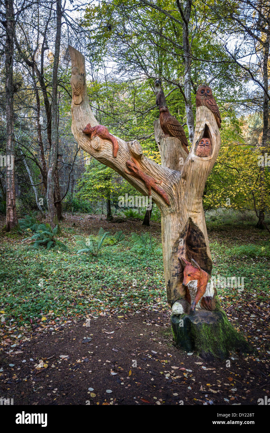 Wood carving in tree of forest creatures at Craig Dulnain in Scotland