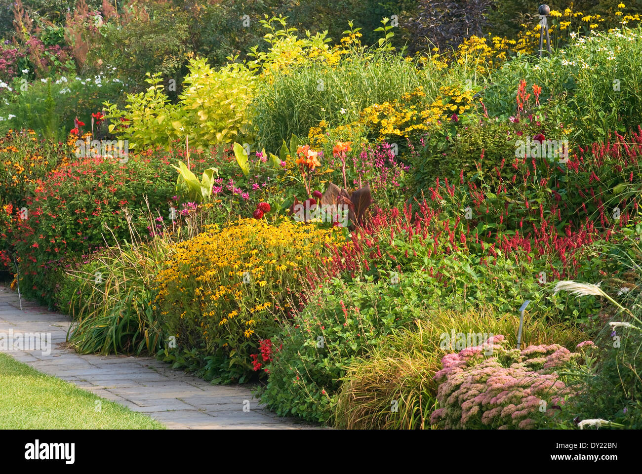 Late Summer Herbaceous border. Late August. Mixed border of late flowering plants. Stock Photo