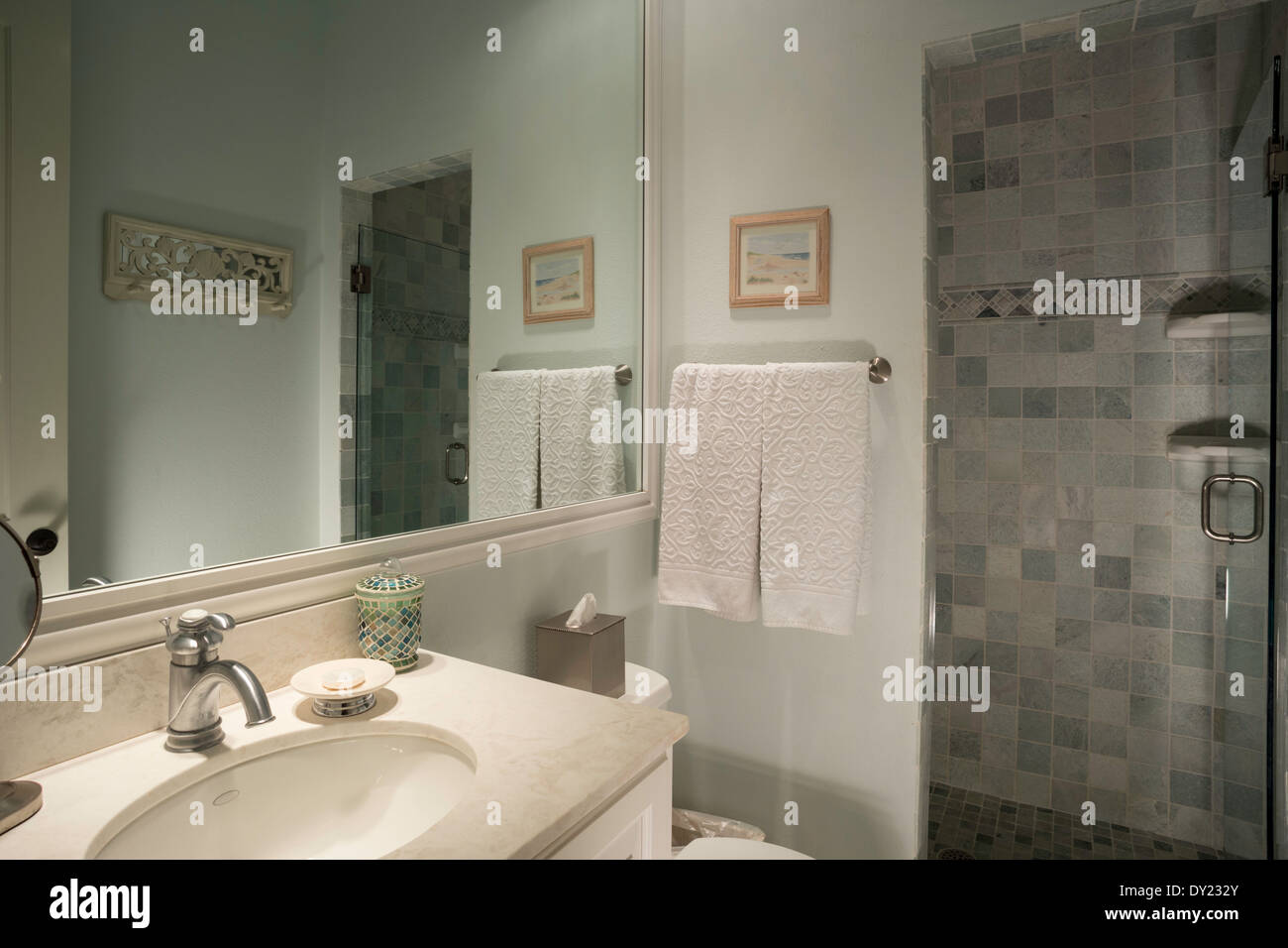 Clean and Tidy White Bathroom with Glass Shower Stall Door, USA Stock Photo