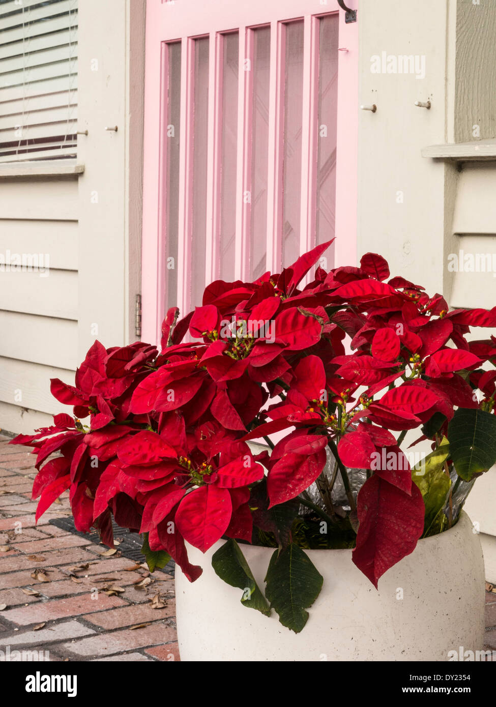 Colorful Flowers in Sidewalk Planter, The Historic Village of Boca