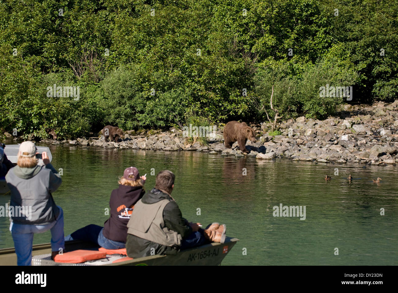 Wolverine creek hires stock photography and images Alamy