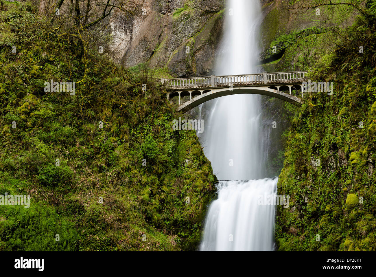 Multnomah Falls and Benson Bridge in the Columbia River Gorge Stock ...