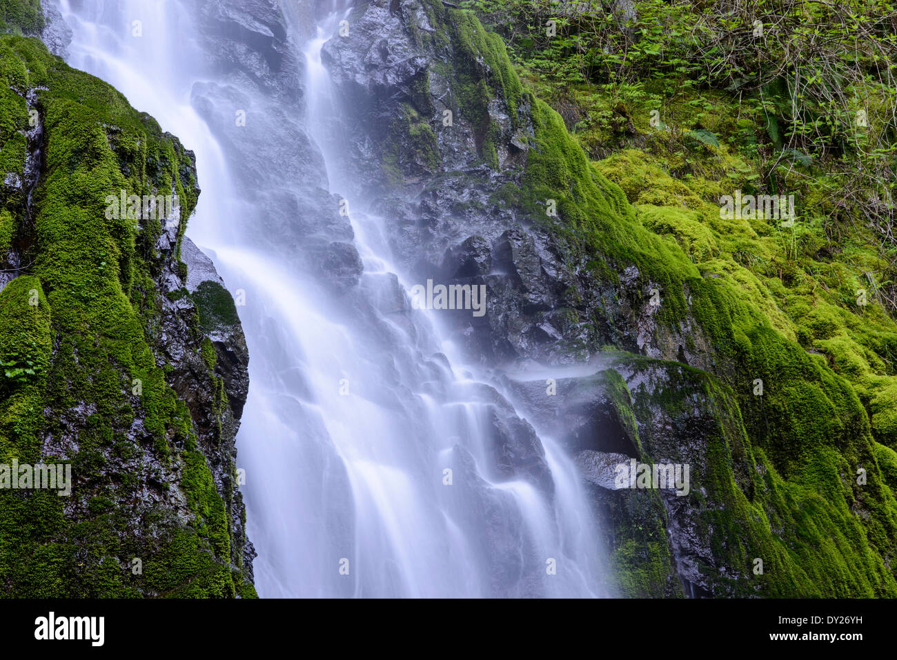 Cabin Creek Falls Along The Columbia River Gorge Stock Photo