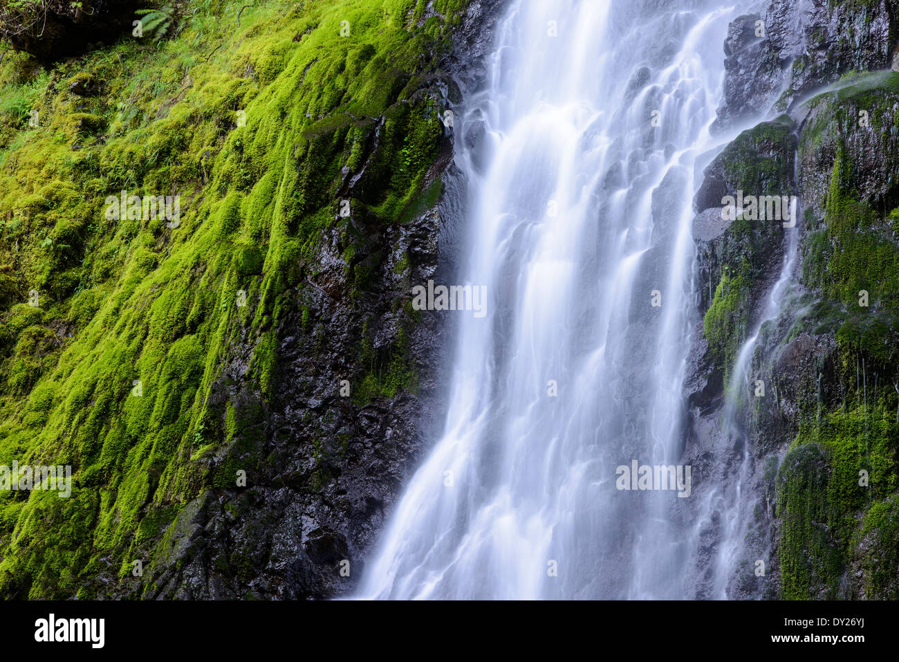 Cabin Creek Falls Along The Columbia River Gorge Stock Photo