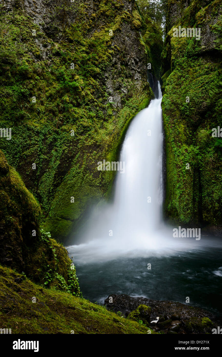 Wahclella Falls along the Columbia River Gorge. Stock Photo