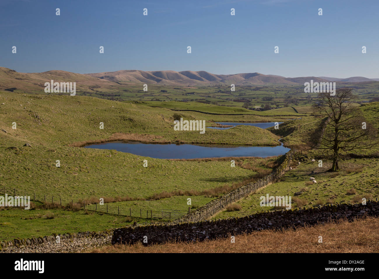 Howgill fells Stock Photo