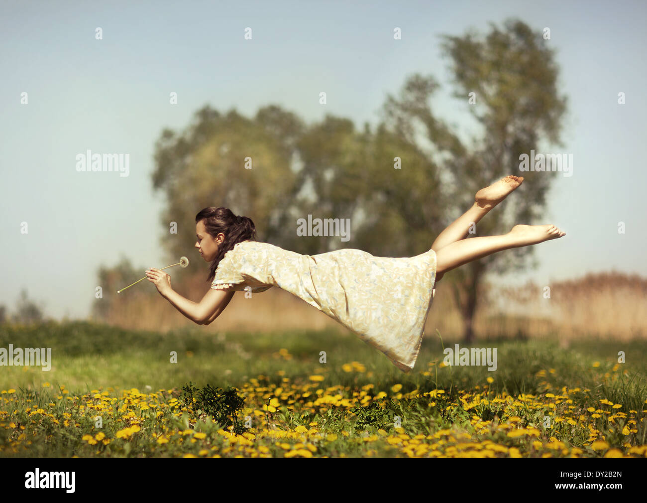 Girl in pajamas night flying over the field and smelling dandelions ...