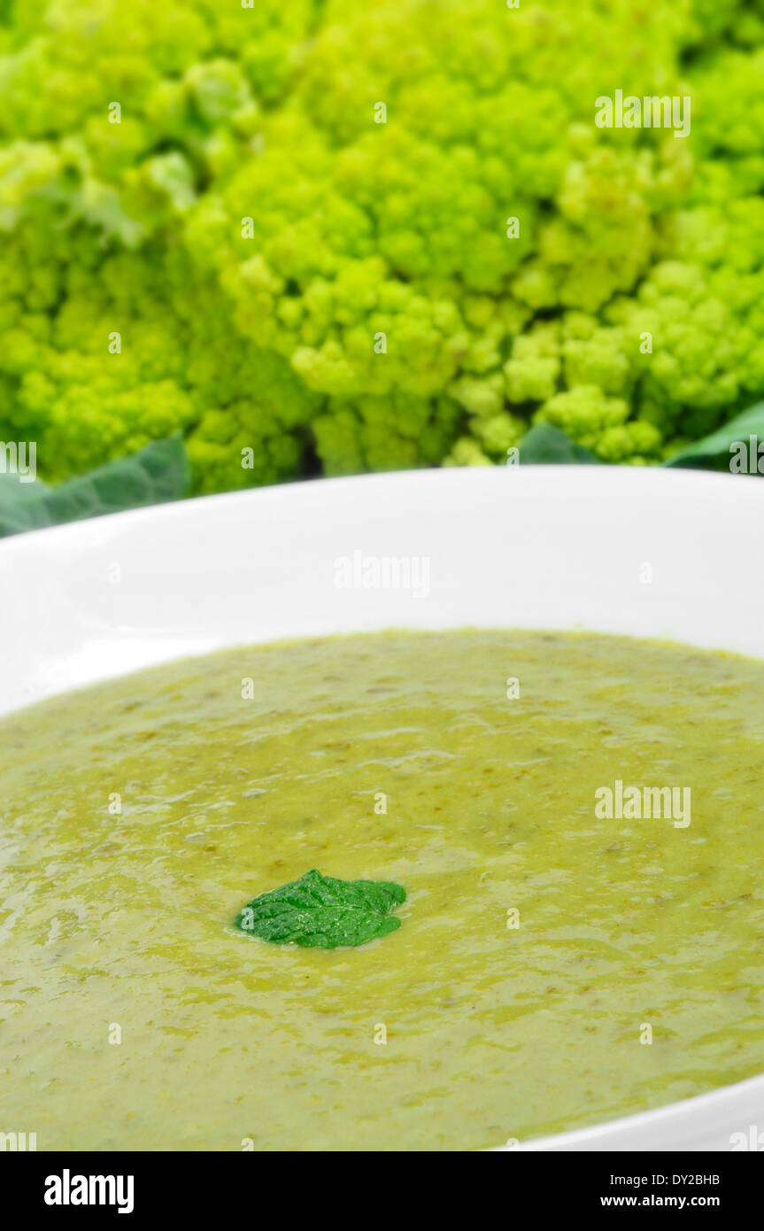 closeup of a bowl with vegetable puree and a broccoli in the background Stock Photo