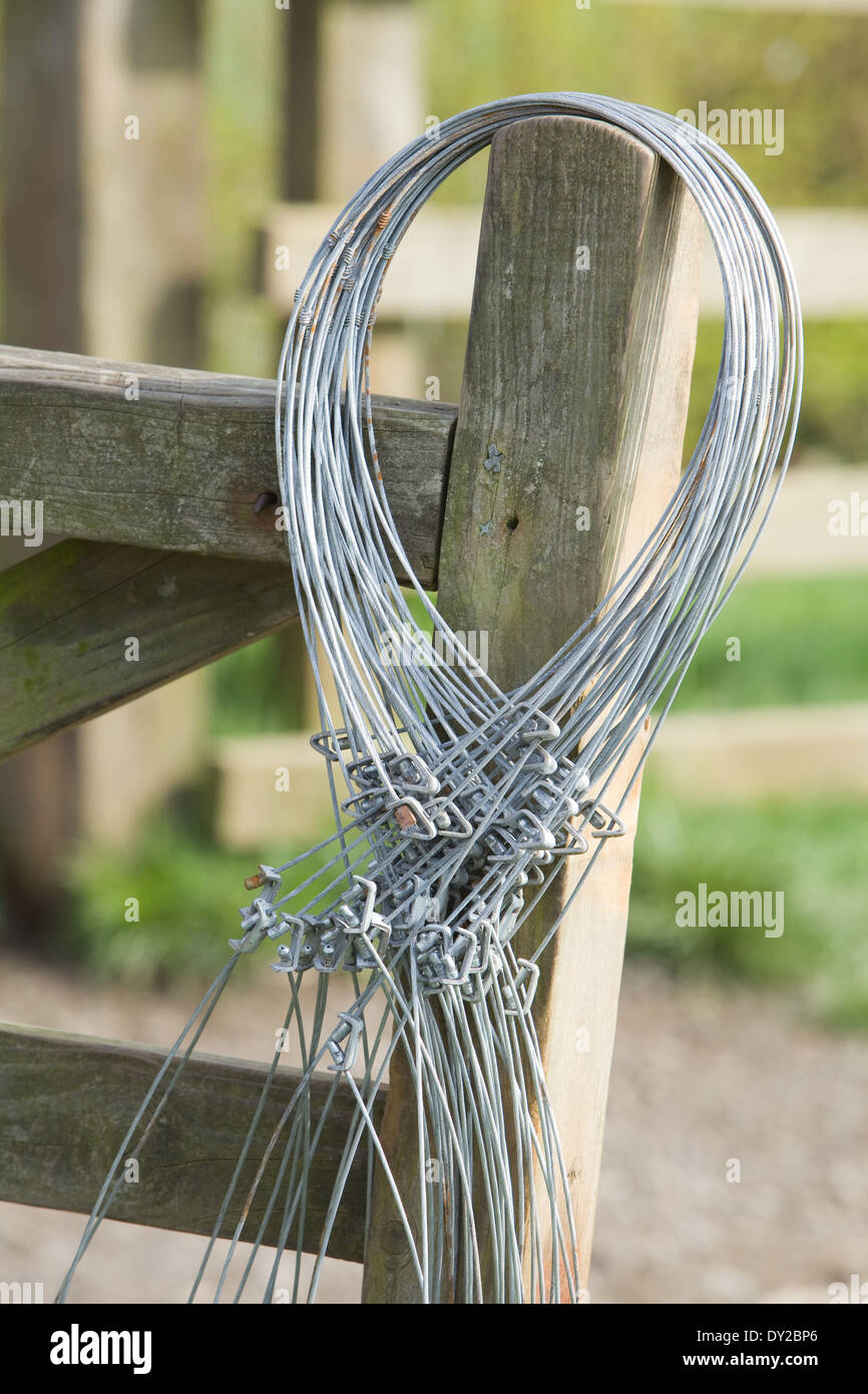 Snare trap hi-res stock photography and images - Alamy