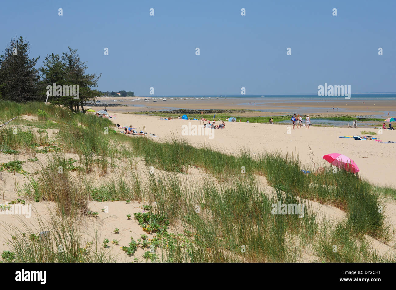 Ile de Ré, Isle of Rhé (west coast of France): the "plage de Trousse-Chemise"  beach Stock Photo - Alamy