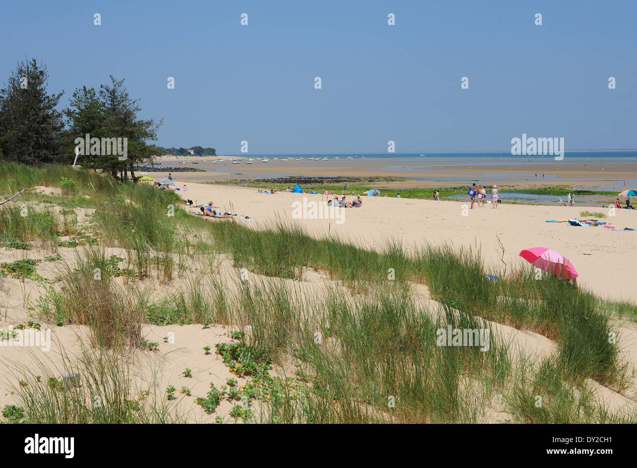 Ile De Ré Isle Of Rhé West Coast Of France The Plage De