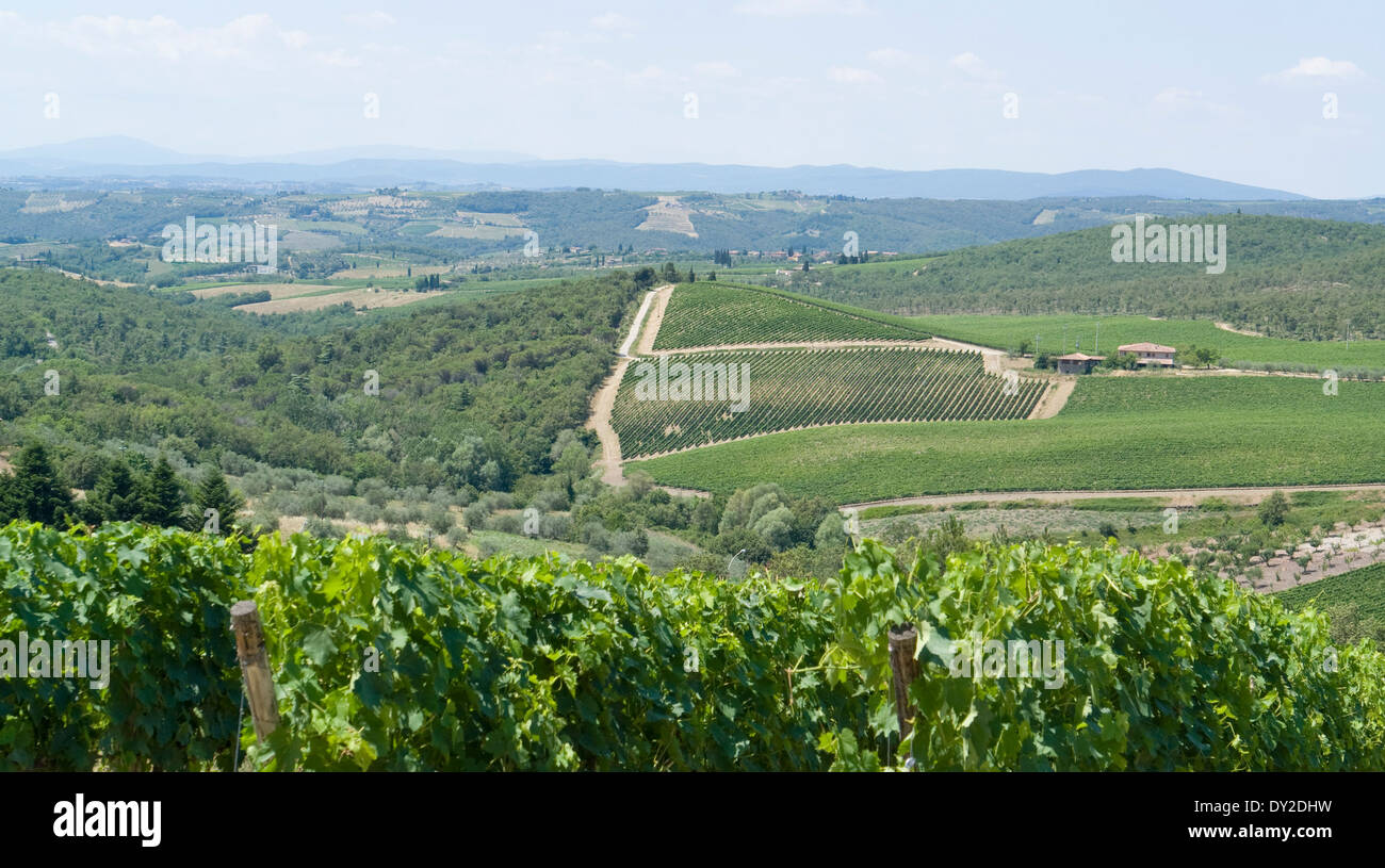 scenery around Gaiole near Castle of Brolio in the Chianti region of Tuscany in Central Italy Stock Photo